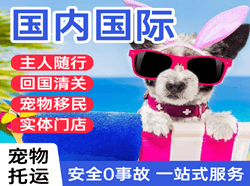 成吉思汗空运代理国际宠物托运 【国